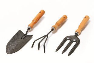 Набір садового інструменту MASTERTOOL Garden WOOD 3 шт 14-6099 33235 фото